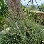 Dimora Gaon / Casa Aureus Ideale Per Famiglie 公寓
