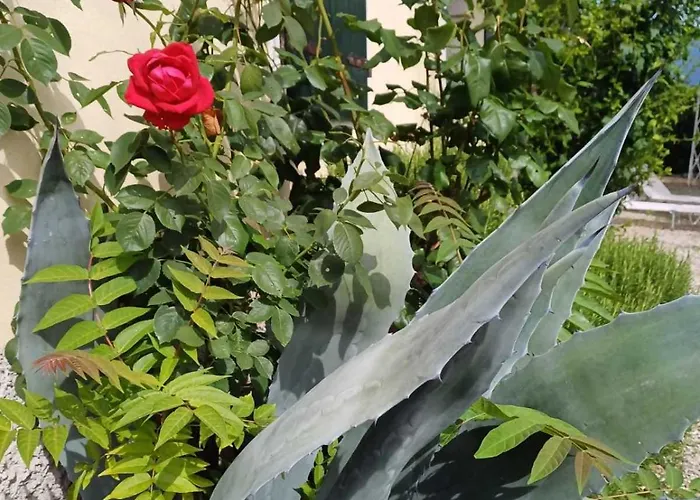 Dimora Gaon Casa Aureus Ideale Per Famiglie Apartamento *