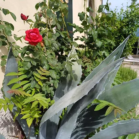 Dimora Gaon / Casa Aureus Ideale Per Famiglie شقة *